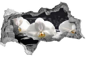 Samolepící díra na stěnu nálepka Orchidej nd-b-62952104