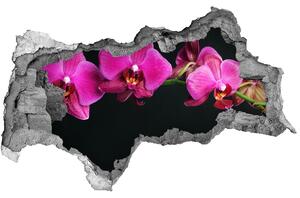 Samolepící díra nálepka Orchidej nd-b-64284743