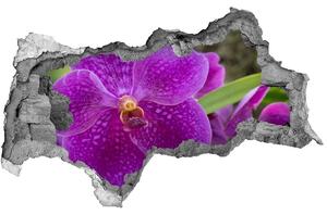 Samolepící díra nálepka Orchidej nd-b-64607986