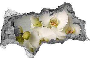 Samolepící díra nálepka Bílá orchidej nd-b-67521473