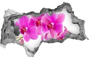 Samolepící díra nálepka Růžová orchidej nd-b-67673367