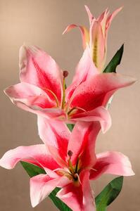Paramit Dekorační květina Lilie růžová 87 cm