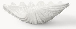 Servírovací mísa ve tvaru mušle z dolomitu Shell