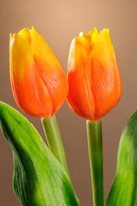 Paramit Umělý tulipán oranžovo žlutý 40 cm