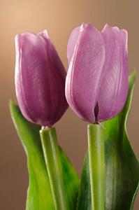 Paramit Umělý tulipán světle fialový 40 cm