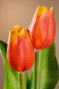 Paramit Umělý tulipán červeno žlutý 40 cm