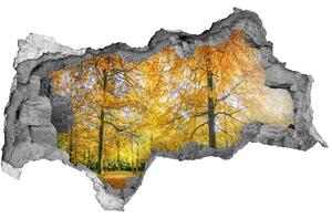 Nálepka fototapeta 3D výhled Podzim les nd-b-70578437