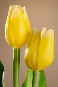 Paramit Umělý tulipán žlutý 40 cm