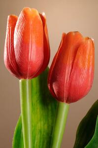 Paramit Umělý tulipán tmavě červeno oranžový 40 cm