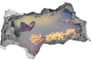 Fototapeta díra na zeď Květ višně a motýl nd-b-72331211