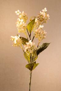 Paramit DRY WILD HYDRANGEA Aranžovací květina 62 cm krémová