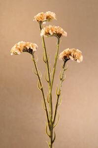 Paramit DRY STATICE Aranžovací květina 64 cm krémová
