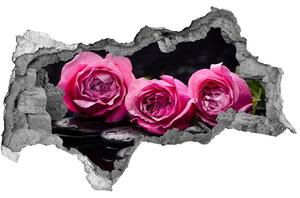 Samolepící díra na stěnu Růžové růže nd-b-77048055