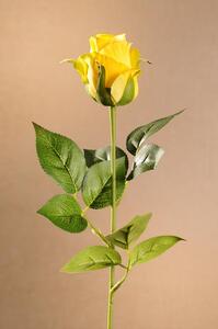 Paramit ROSE BUD Aranžovací květina 55 cm žlutá