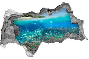 Nálepka fototapeta 3D výhled Korálový útes nd-b-78236057