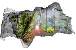 Nálepka fototapeta 3D na zeď Most v pralese nd-b-79141355