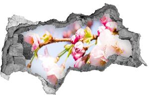 Samolepící díra na stěnu Květy višně nd-b-81280422