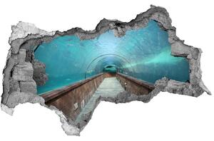 Fototapeta díra na zeď 3D Tunel akvárium nd-b-82197217