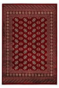 Hans Home | Kusový koberec My Ariana 880 red - 120x170