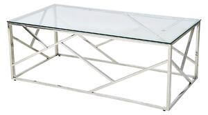 KONFERENČNÍ STOLEK, čiré, barvy stříbra, kov, sklo, 120/60/45 cm Livetastic - Konferenční stolky, Online Only