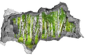 Nálepka fototapeta 3D výhled Břízový les nd-b-85613602