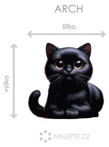 Černá kočka arch 44 x 45 cm