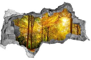Nálepka fototapeta 3D výhled Podzim les nd-b-89529230