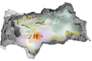 Samolepící díra nálepka Bílá orchidej nd-b-91133337