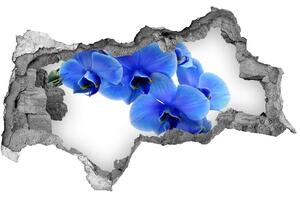 Samolepící díra nálepka Modrá orchidej nd-b-91549599