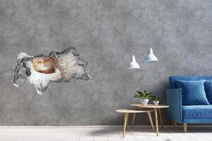 Samolepící nálepka beton Kočka ve svetru nd-b-92307728