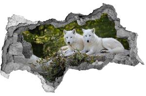 Fototapeta díra na zeď Bílí vlci skála nd-b-93949837