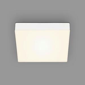 STROPNÍ LED SVÍTIDLO, 21.2/21.2/3.6 cm - Stropní svítidla