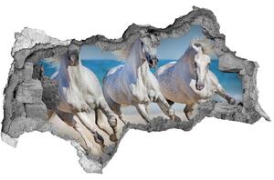 Nálepka fototapeta 3D Bílí koně pláž nd-b-95257914