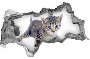 Samolepící díra nálepka Malá kočka nd-b-95620650