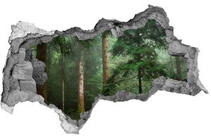 Díra 3D foto tapeta nálepka Mlha v lese nd-b-95330664