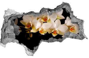 Nálepka fototapeta 3D výhled Orchidej nd-b-95410450