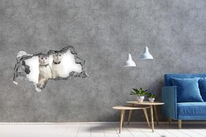 Nálepka fototapeta 3D na zeď Bílé kočky nd-b-97350767