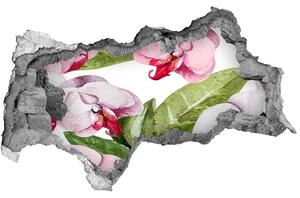 Nálepka díra na zeď Růžové orchideje nd-b-98952398