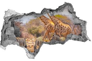 Díra 3D fototapeta nálepka Žirafy a zebry nd-b-99320619