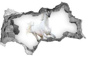 Fototapeta díra na zeď Bílý arabský kůň nd-b-99028092