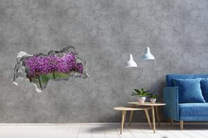 Samolepící díra na stěnu Květ česneku nd-b-99551256