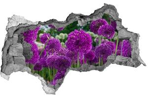 Nálepka 3D díra samolepící Květy česneku nd-b-99930087