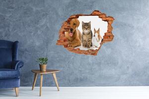 Díra 3D fototapeta na stěnu Pes a kočka nd-c-100573313