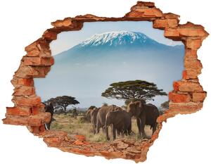 Díra 3D fototapeta Sloni Kilimandžáro nd-c-100418826