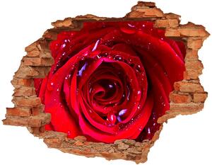 Samolepící nálepka na zeď Květ růží nd-c-100979783