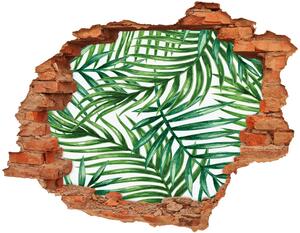 Nálepka 3D díra na zeď Listí palmy nd-c-101795762