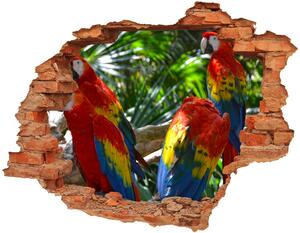 Díra 3D fototapeta nálepka Papoušek Ara nd-c-101702658