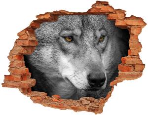 Díra 3D fototapeta na stěnu nálepka Vlk nd-c-103311727