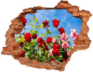Samolepící nálepka na zeď Divoké růže nd-c-104021490