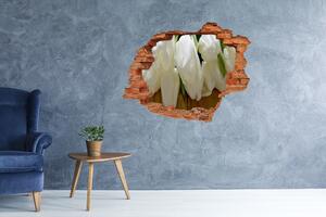 Samolepící nálepka fototapeta Bílé tulipány nd-c-104686883
